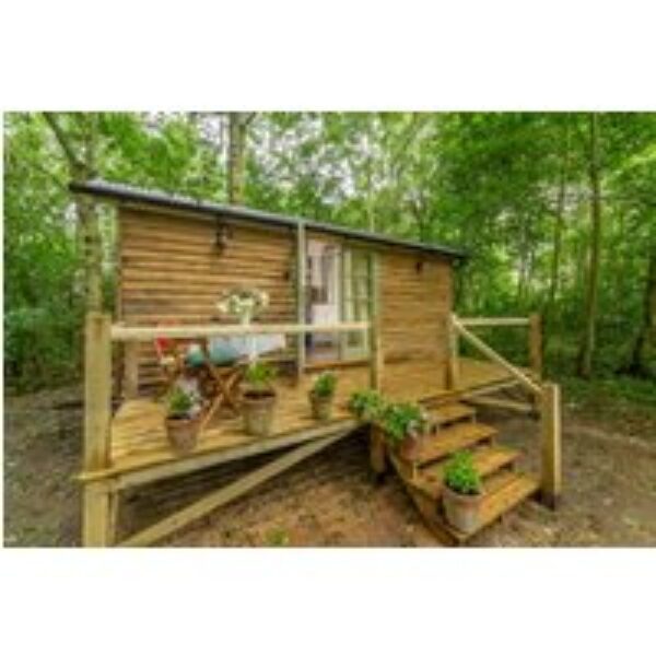 Woodland Retreat Shepherd's Hut